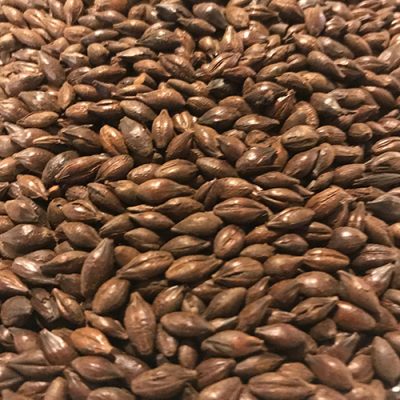 Cebada Tostada Maltear (ARG)